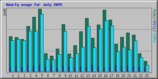 Hourly usage for July 2025