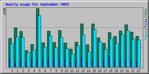 Hourly usage for September 2025