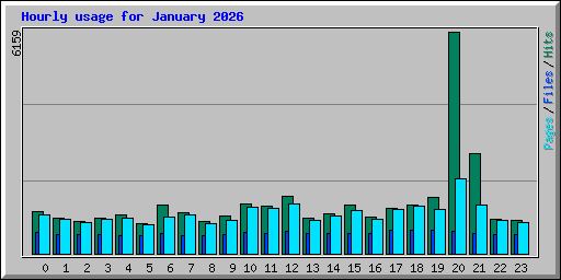 Hourly usage for January 2026